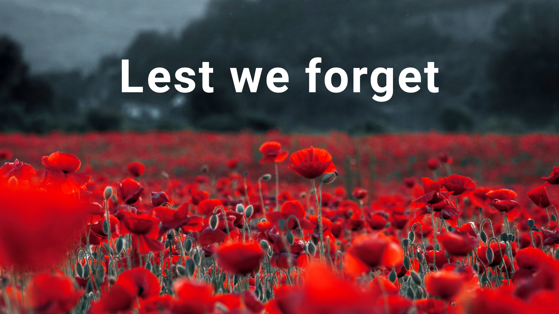 A Geotab Instagram post